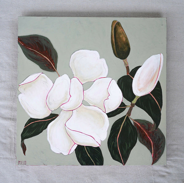 Magnolia no. ii-2