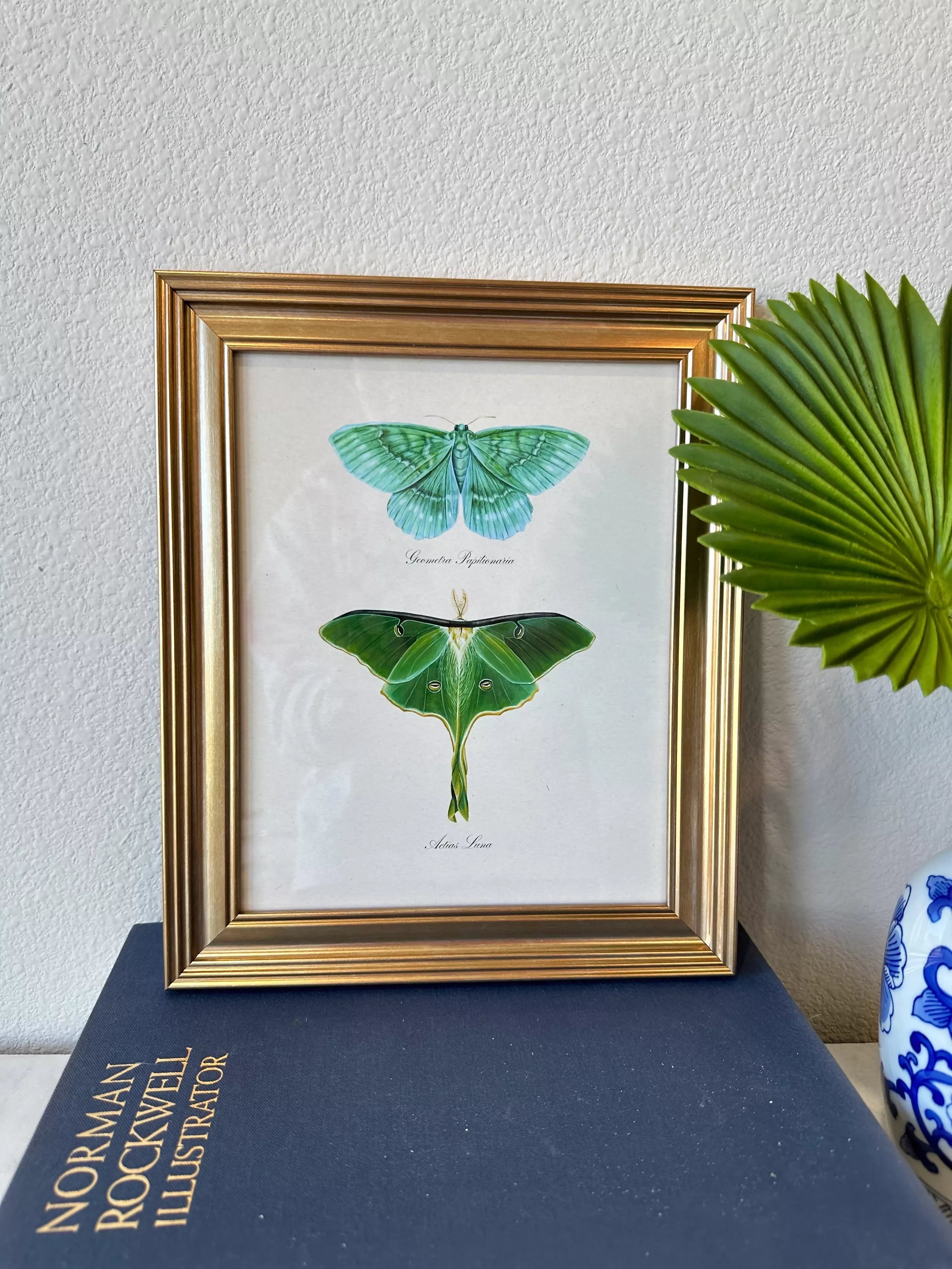 Framed Emerald + Luna Moths Print