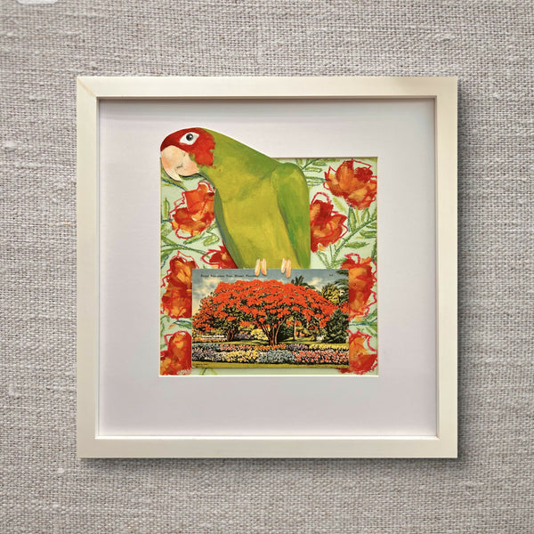 Cherry Headed Conure with Vintage Postcard