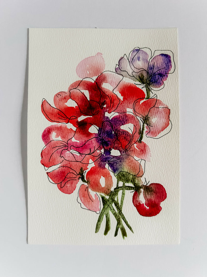 Heather Kiser Sweet Pea