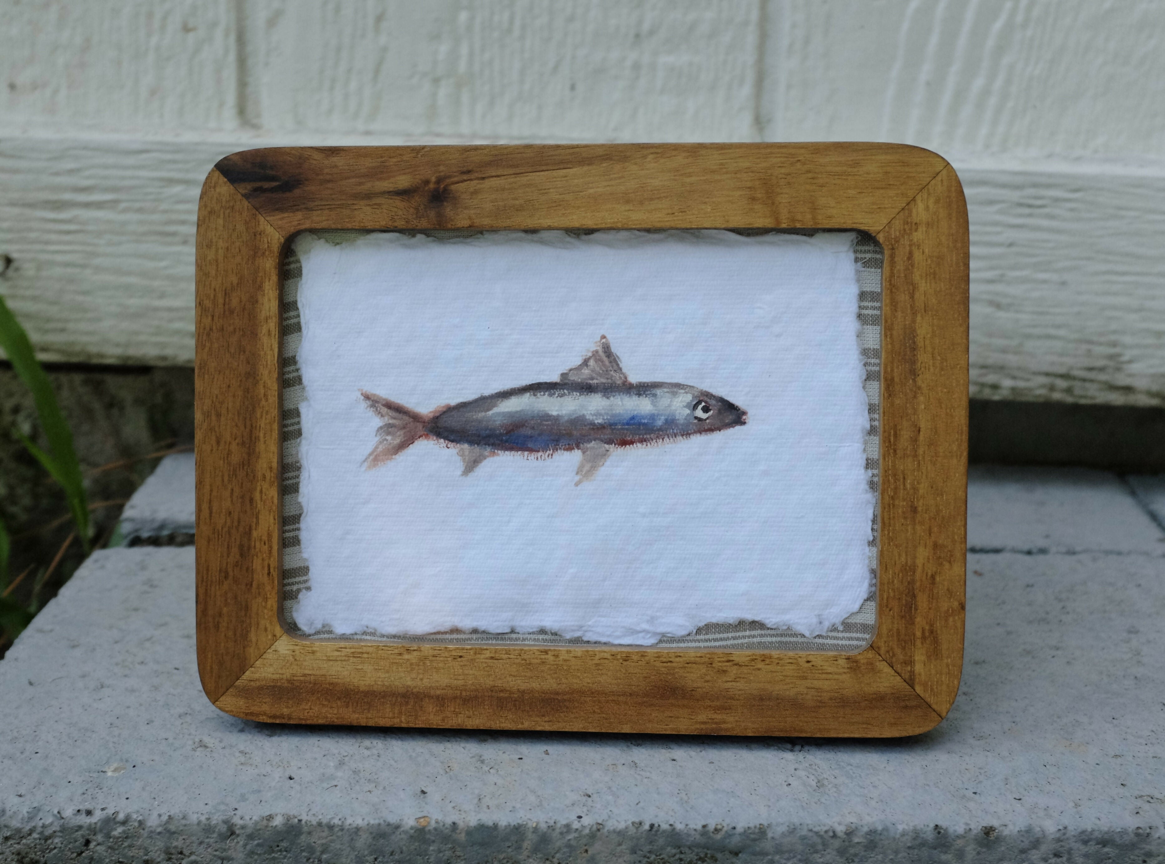 Sardine i