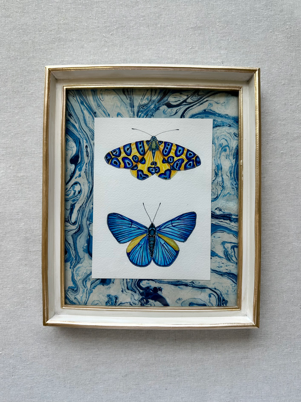 Bright Wings