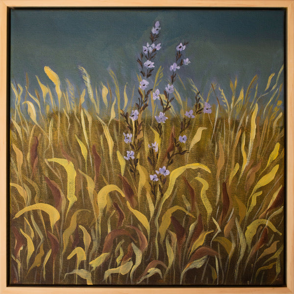 Lavender Wildflower