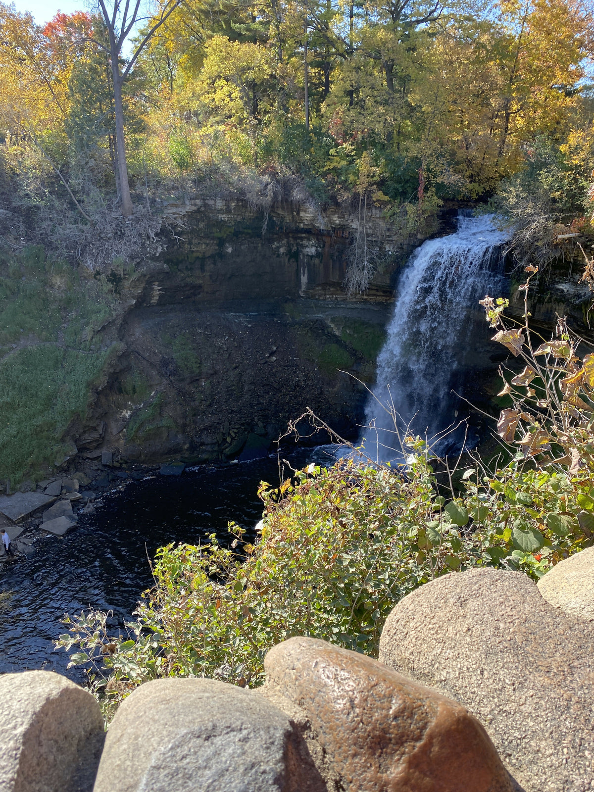 Living Waters