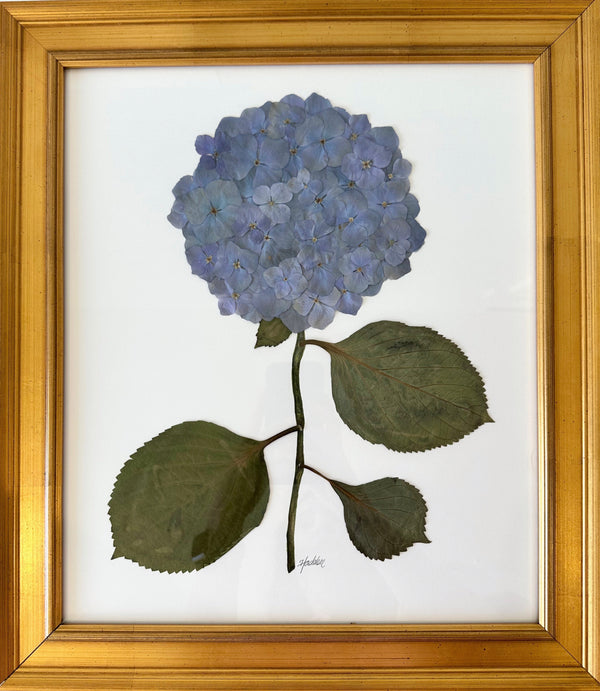 Pressed Hydrangea in Rose Gold Frame