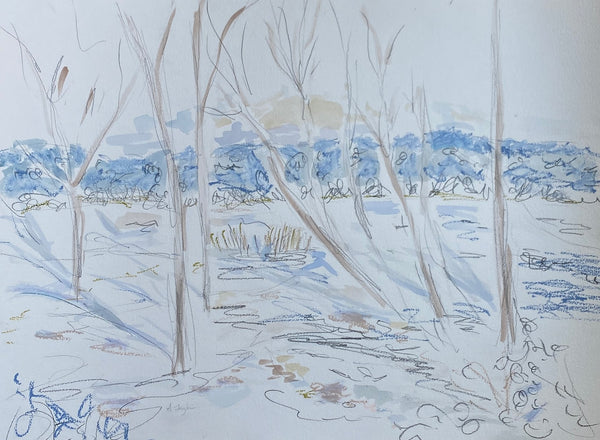 Freshly Fallen Snow
