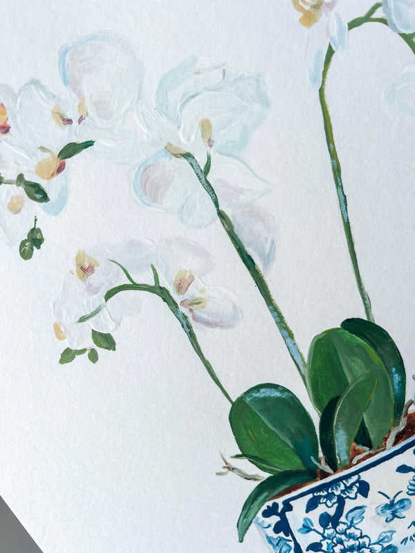 Orchid Serenity