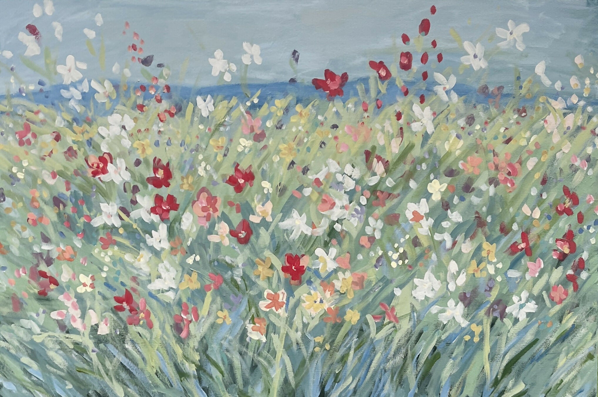 Fields of Wildflowers From My Memory