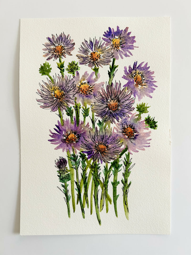 Asters