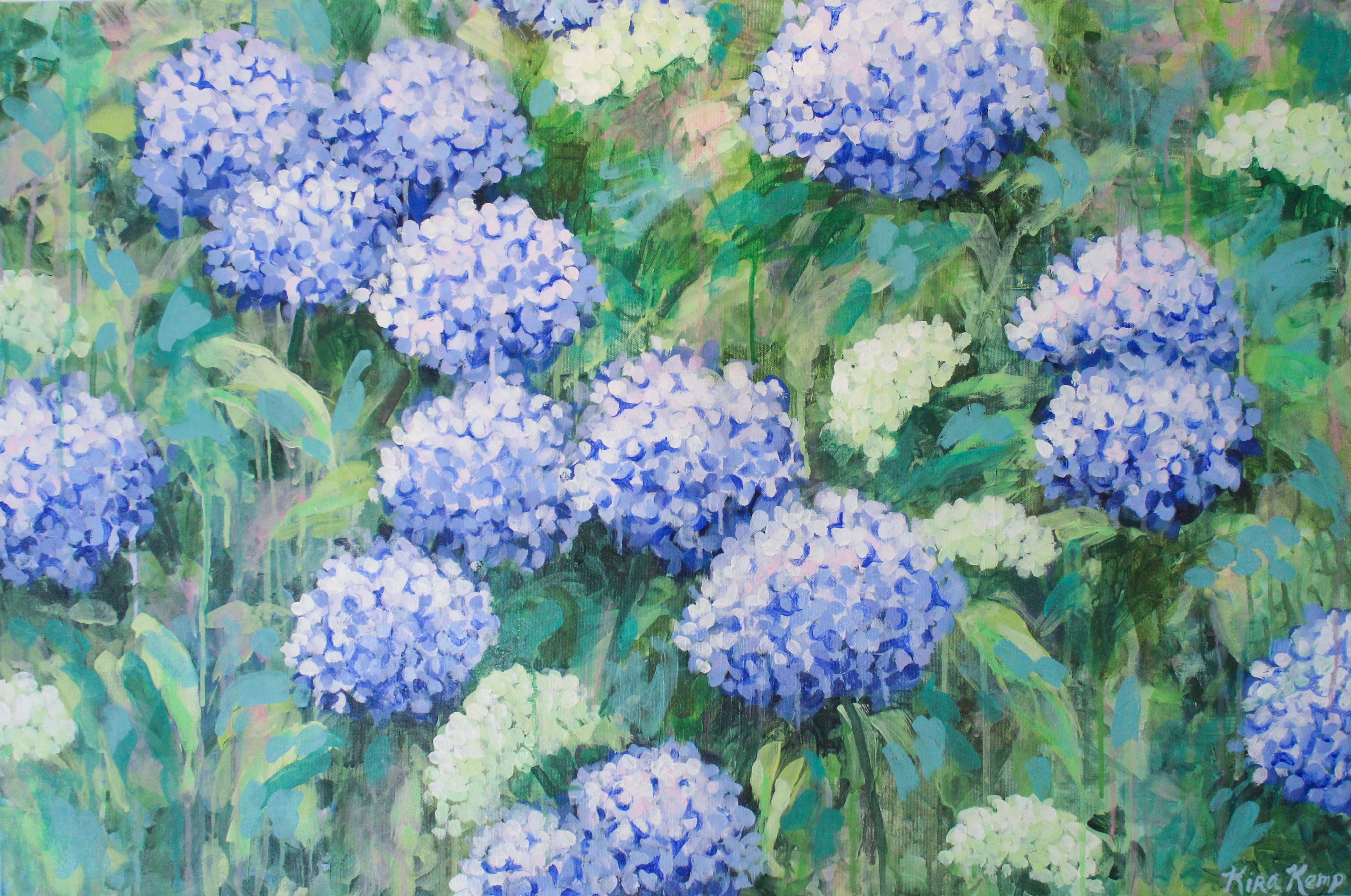 Hydrangea Haven