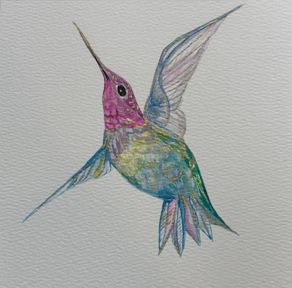 Hummingbird 1