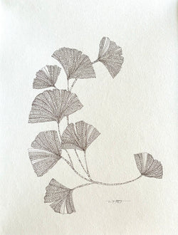 GINKGO II