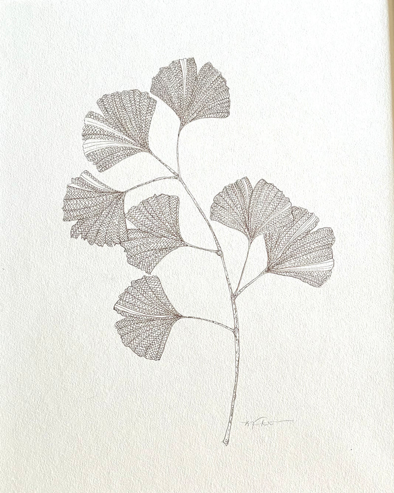 GINKGO I