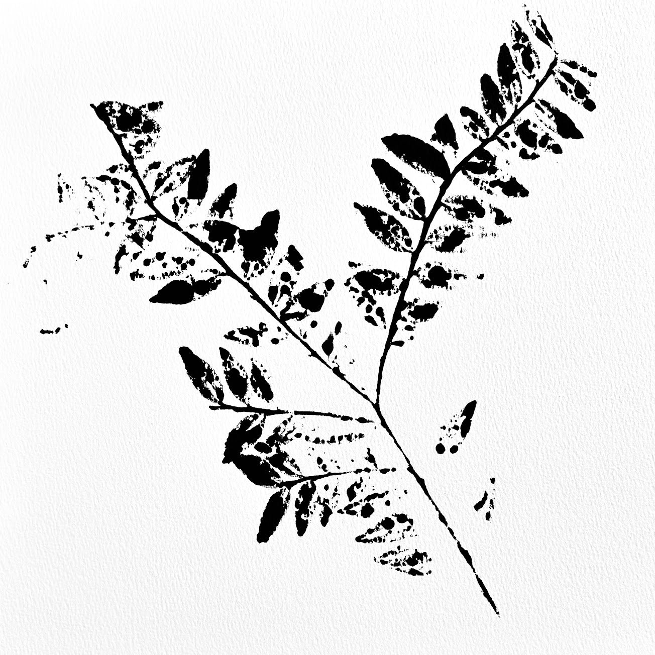 Chestnut Branch Ink Transfer