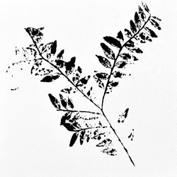Chestnut Branch Ink Transfer
