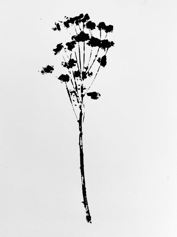Spurge Ink Transfer