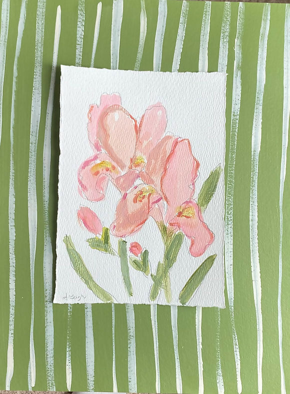 Iris (February Birth Flower)