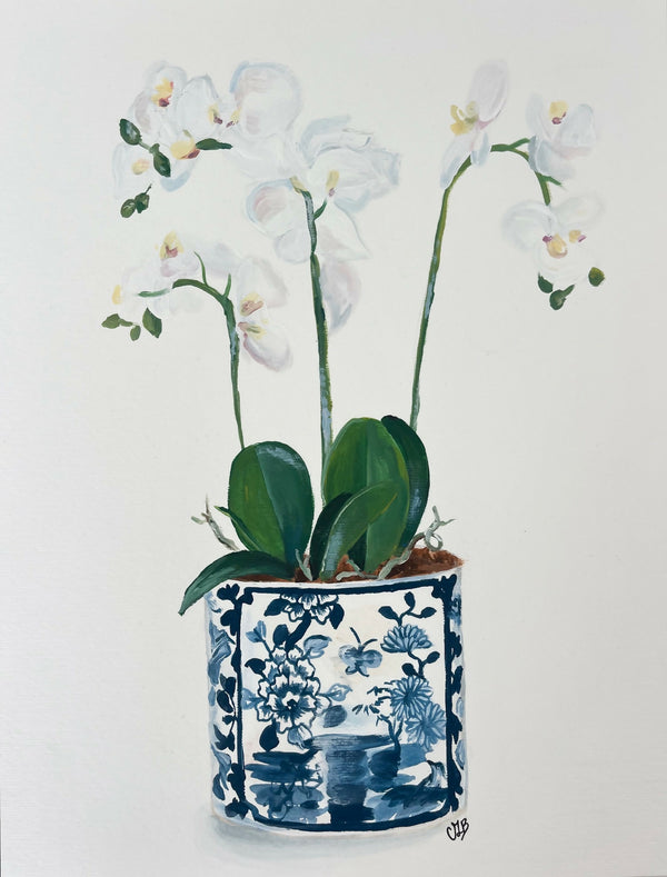 Orchid Serenity