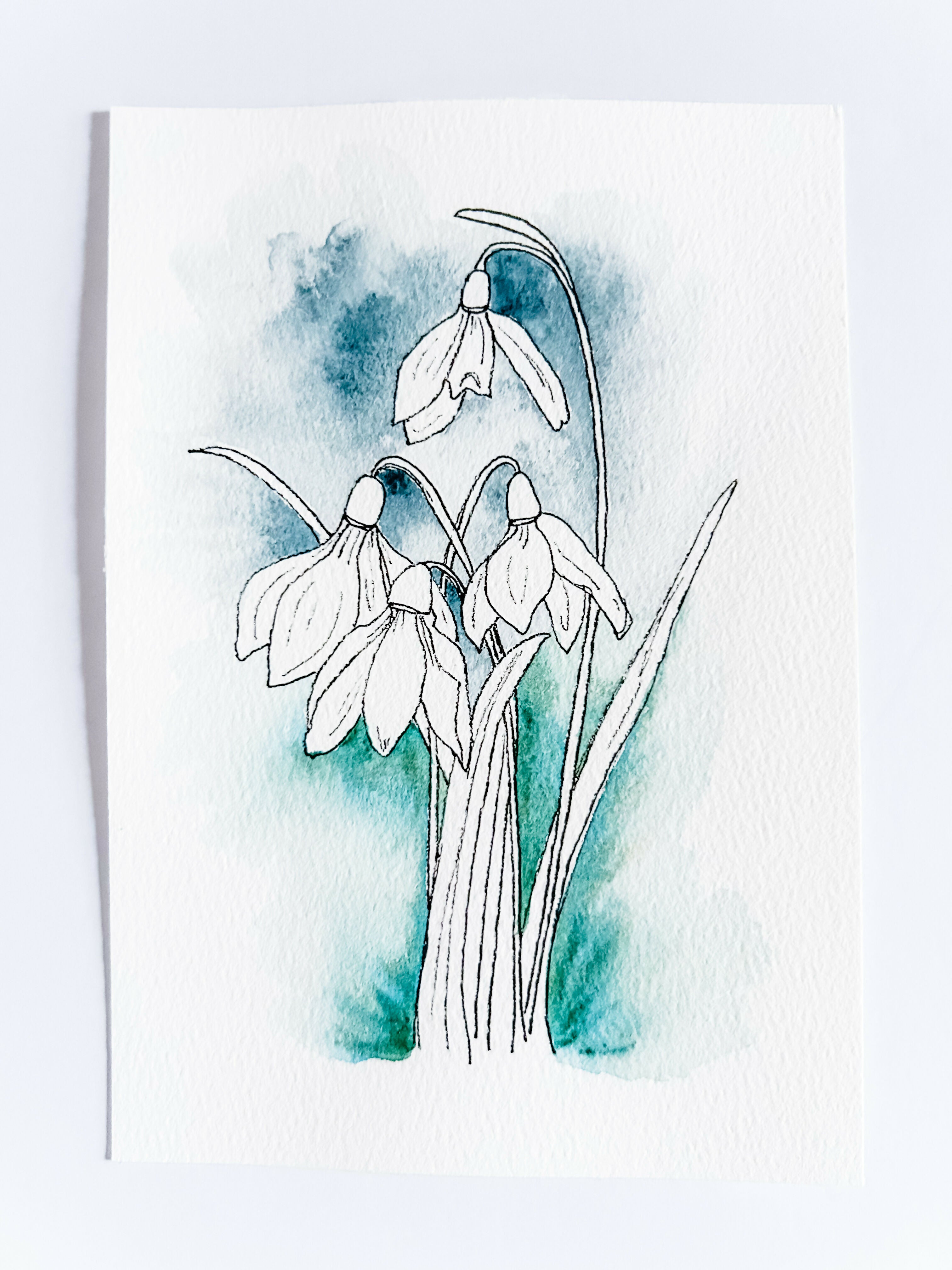 Heather Kiser Snowdrop