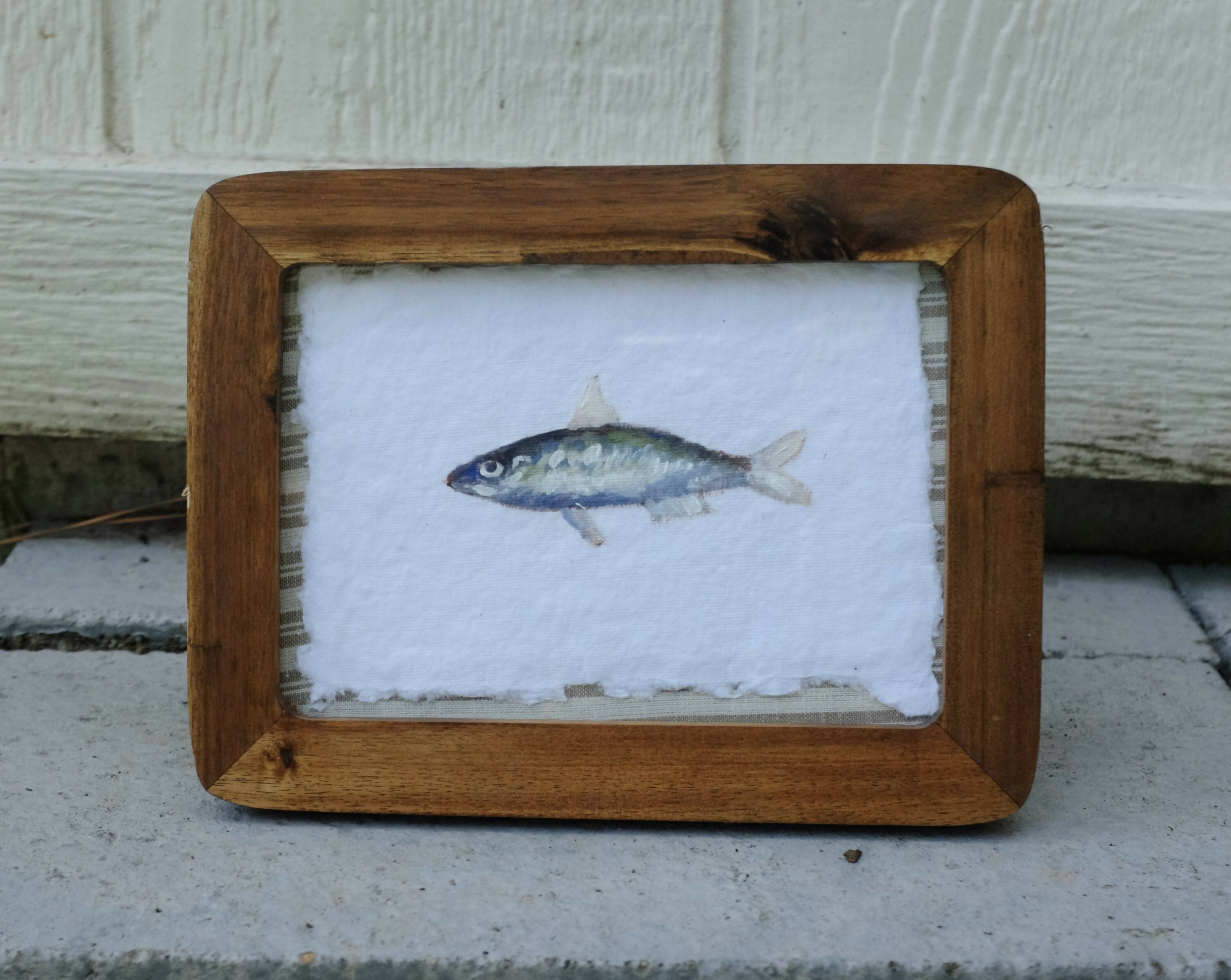 Sardine iii