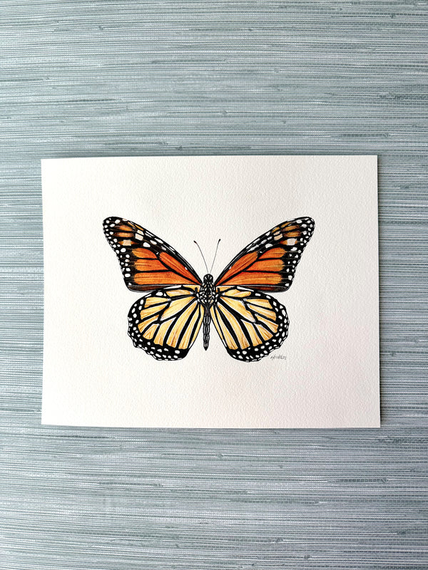 Monarch Butterfly
