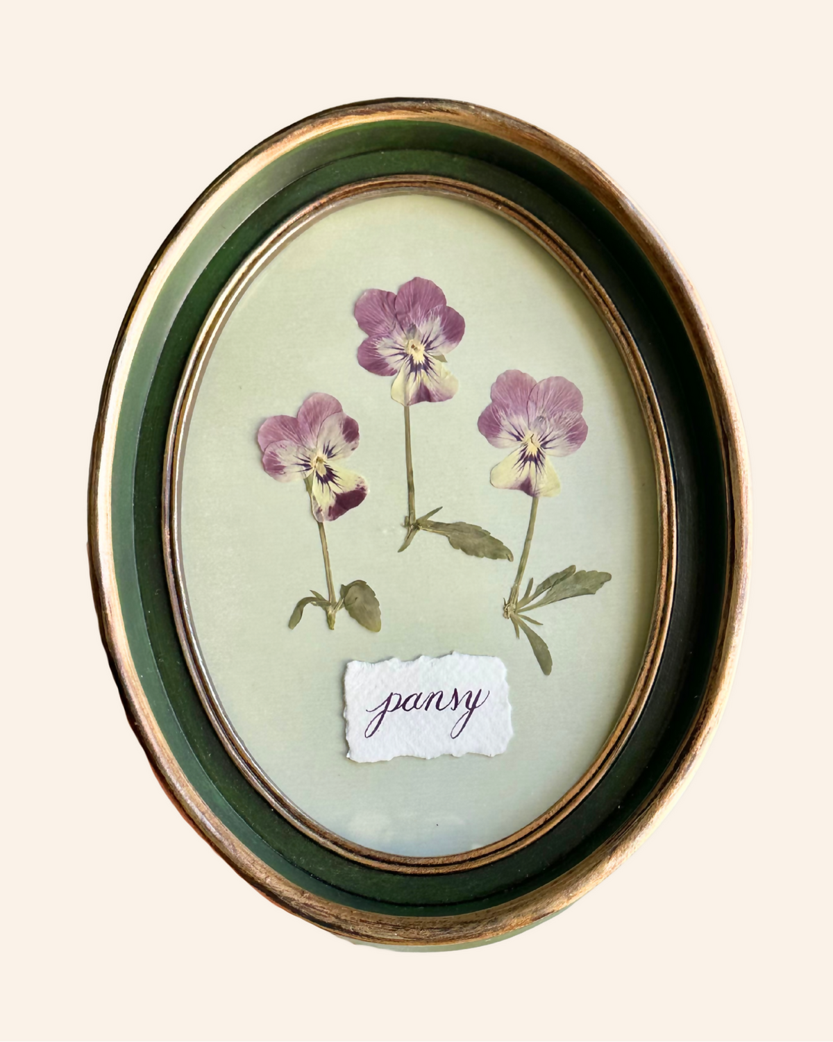 Purple Pressed Pansies