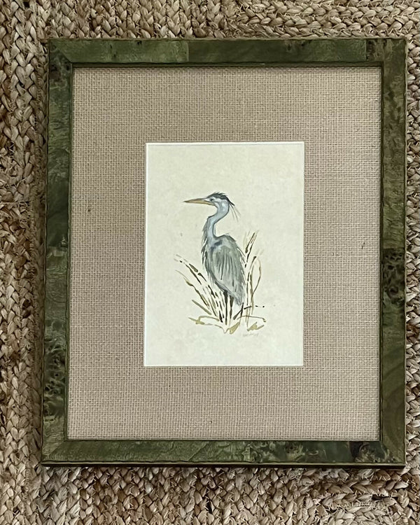 Great Blue Heron in The Shallows
