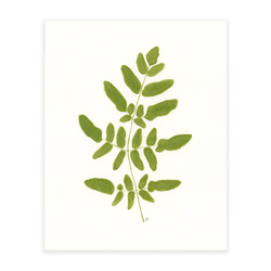 Royal Fern - Green