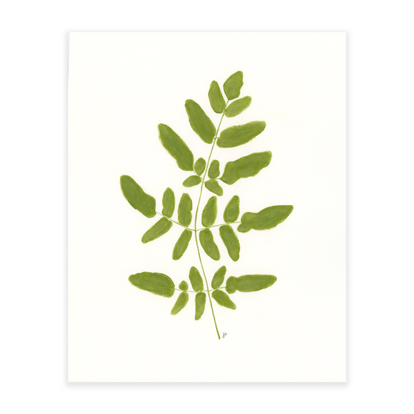 Royal Fern - Green