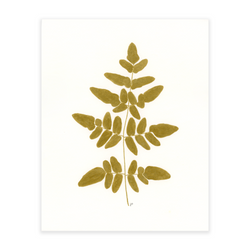 Royal Fern - Ochre