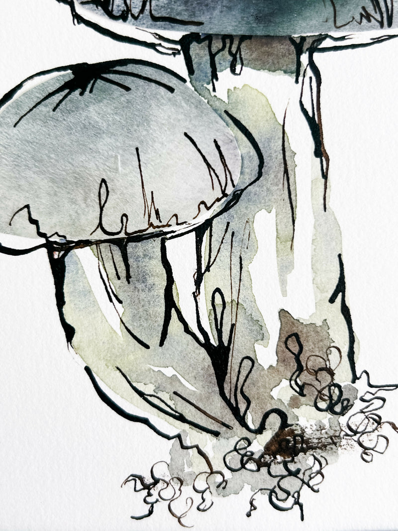 Mushroom Study in Slate Gray No. 1