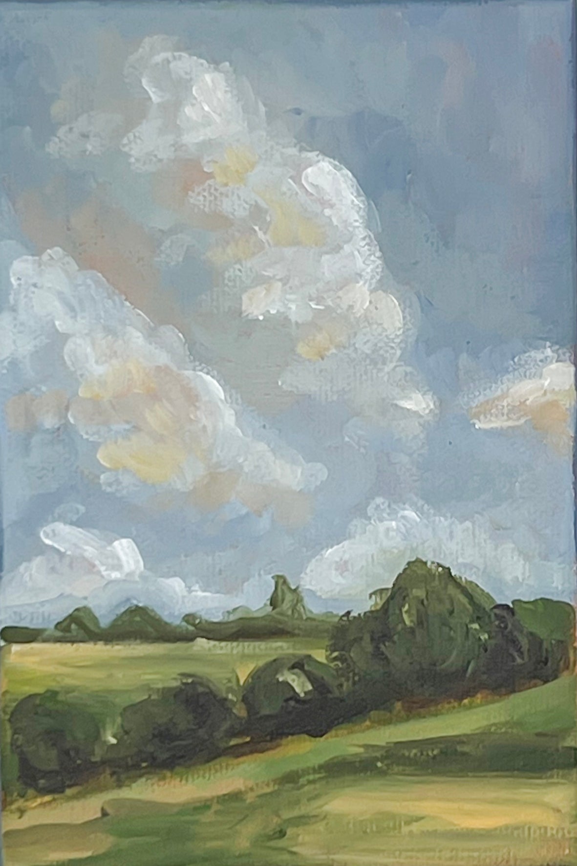 Summer Clouds