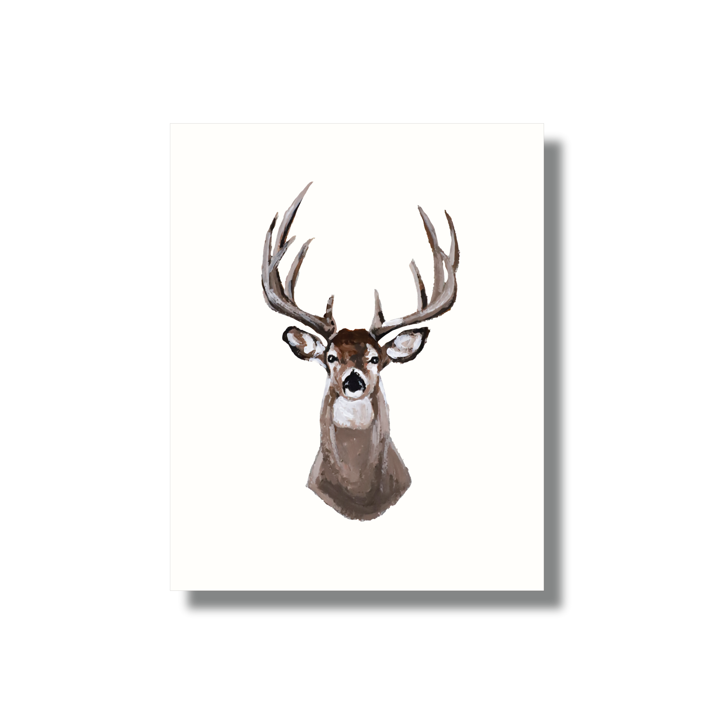 Whitetail Deer Study Print