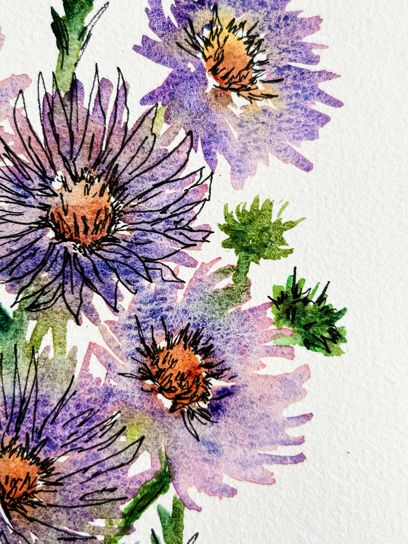 Asters