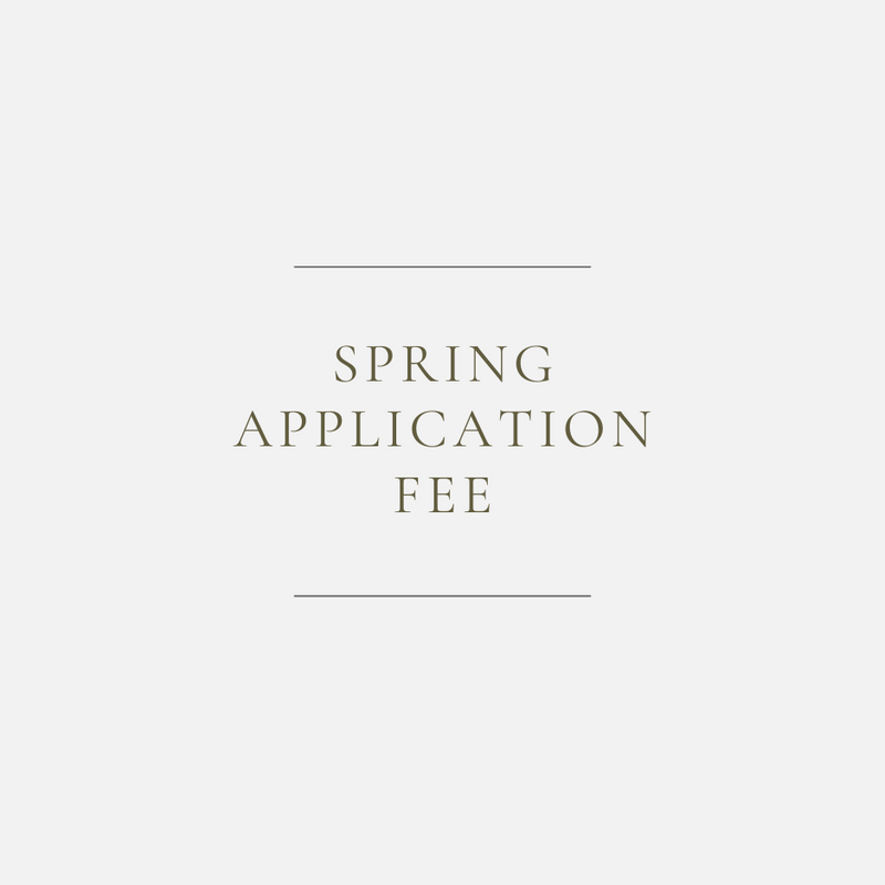 2025 Spring Emerging Artist Show Application Fee