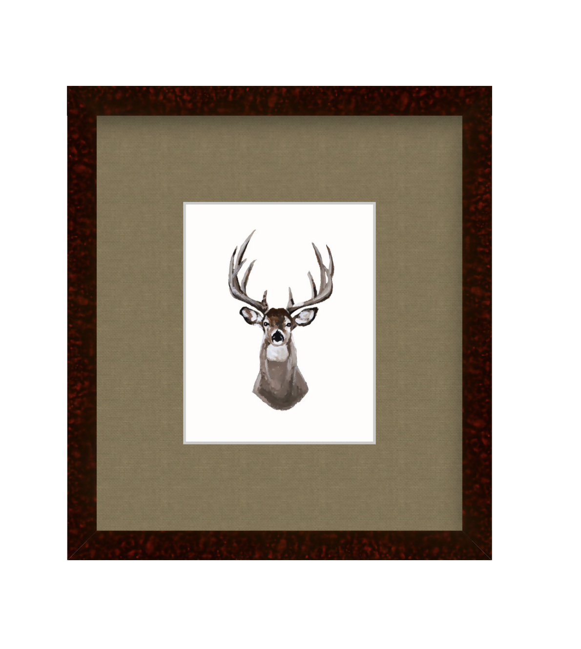 Whitetail Deer Study Print