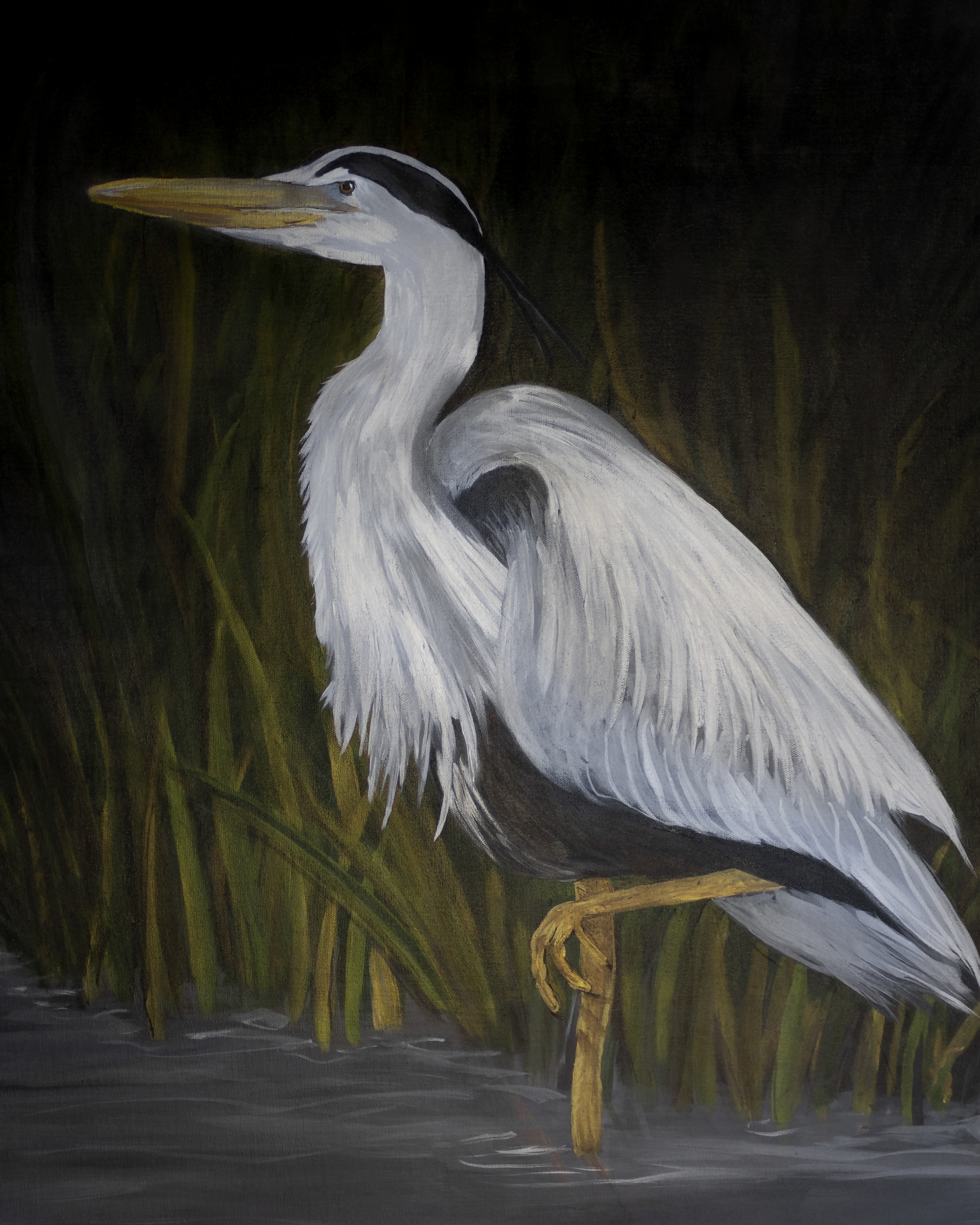 Heron at Night Print