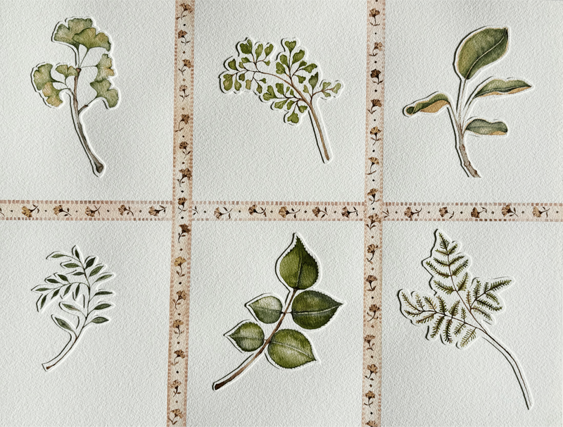 A Botanical Study