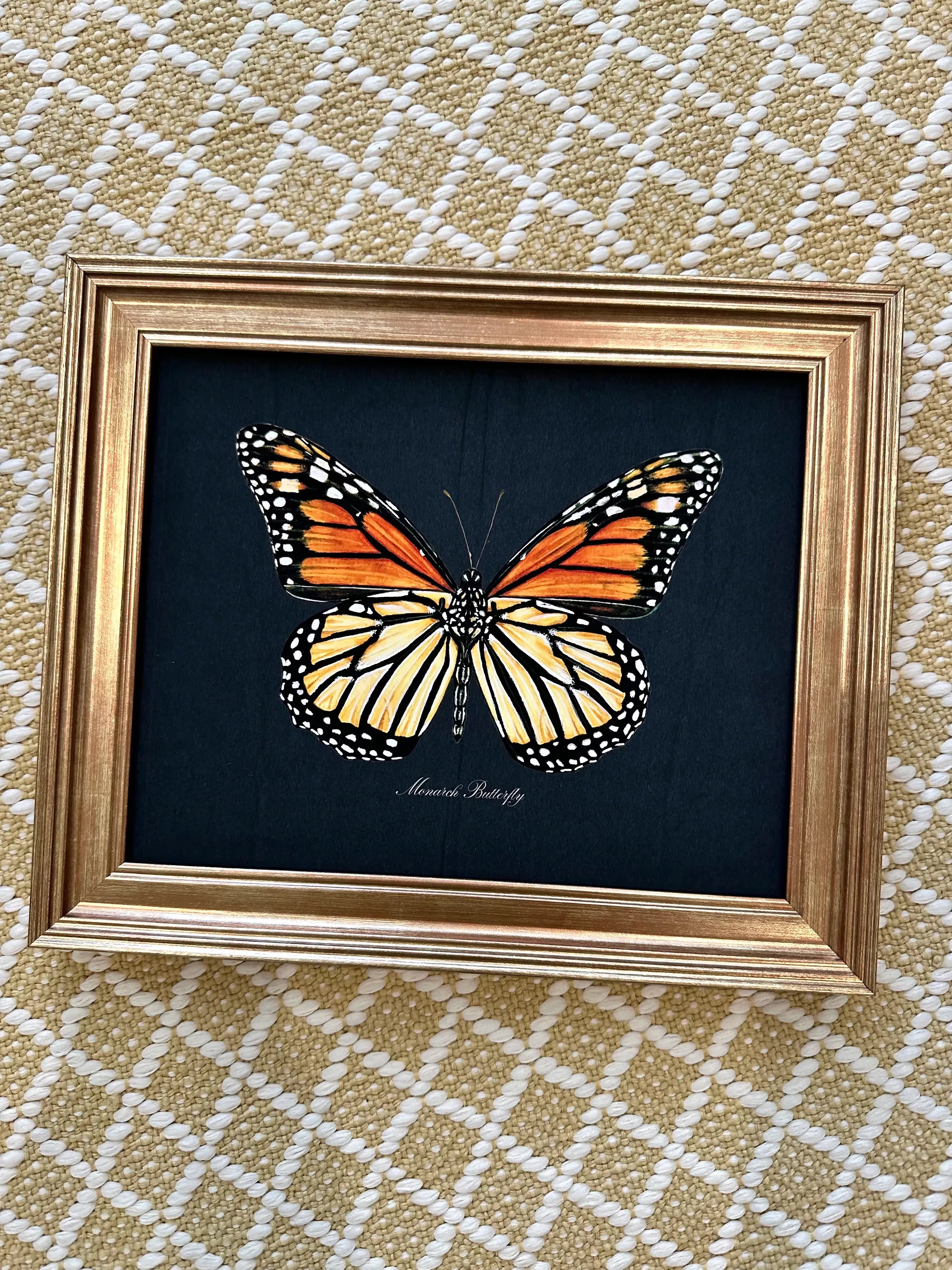 Special Edition Framed Monarch Butterfly Print