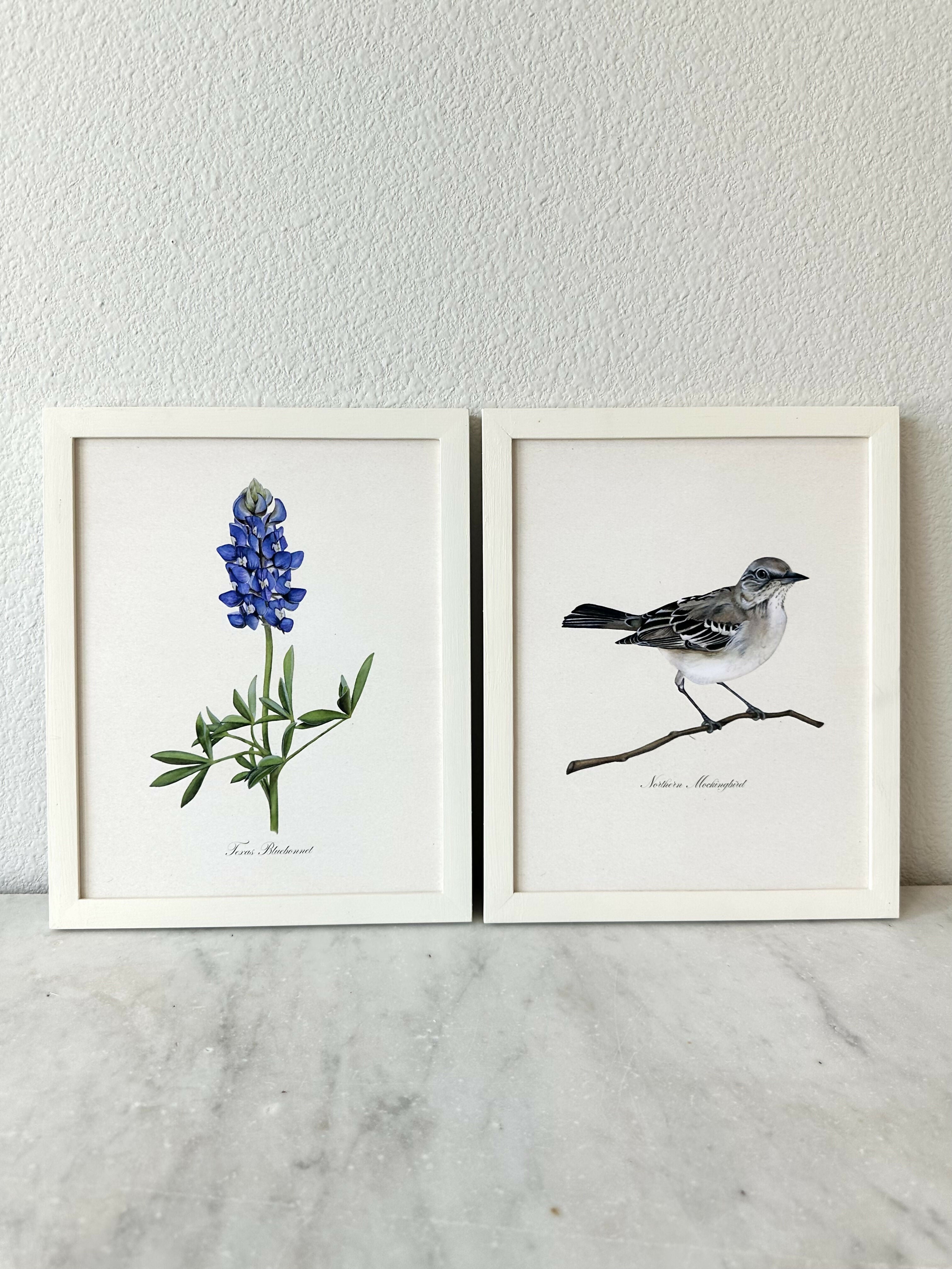 Bluebonnet Print