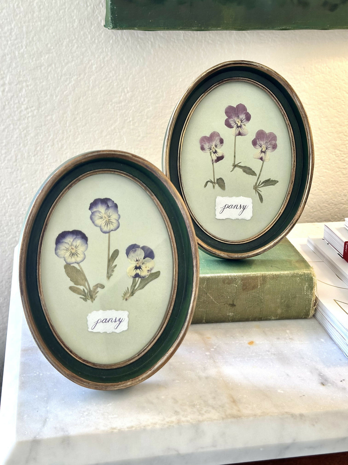 Purple Pressed Pansies