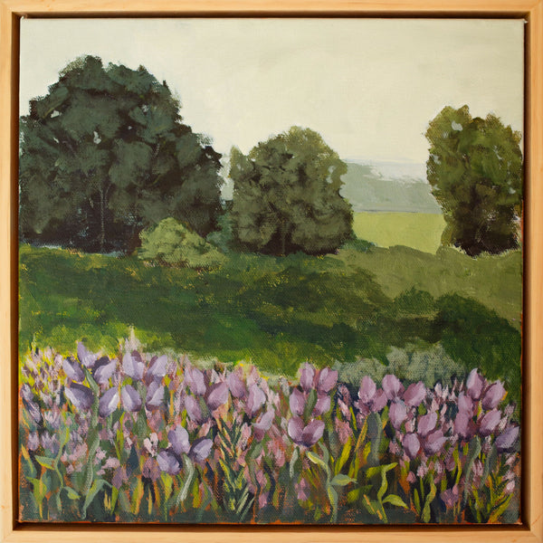 Lavender Field