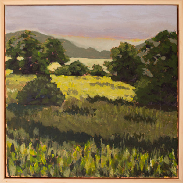 Texas Hill Country