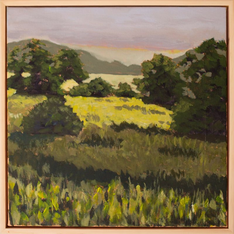 Texas Hill Country