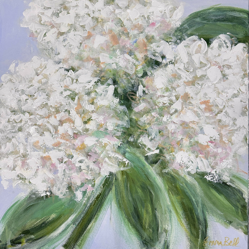 White Hydrangea Bloom 24”x24”