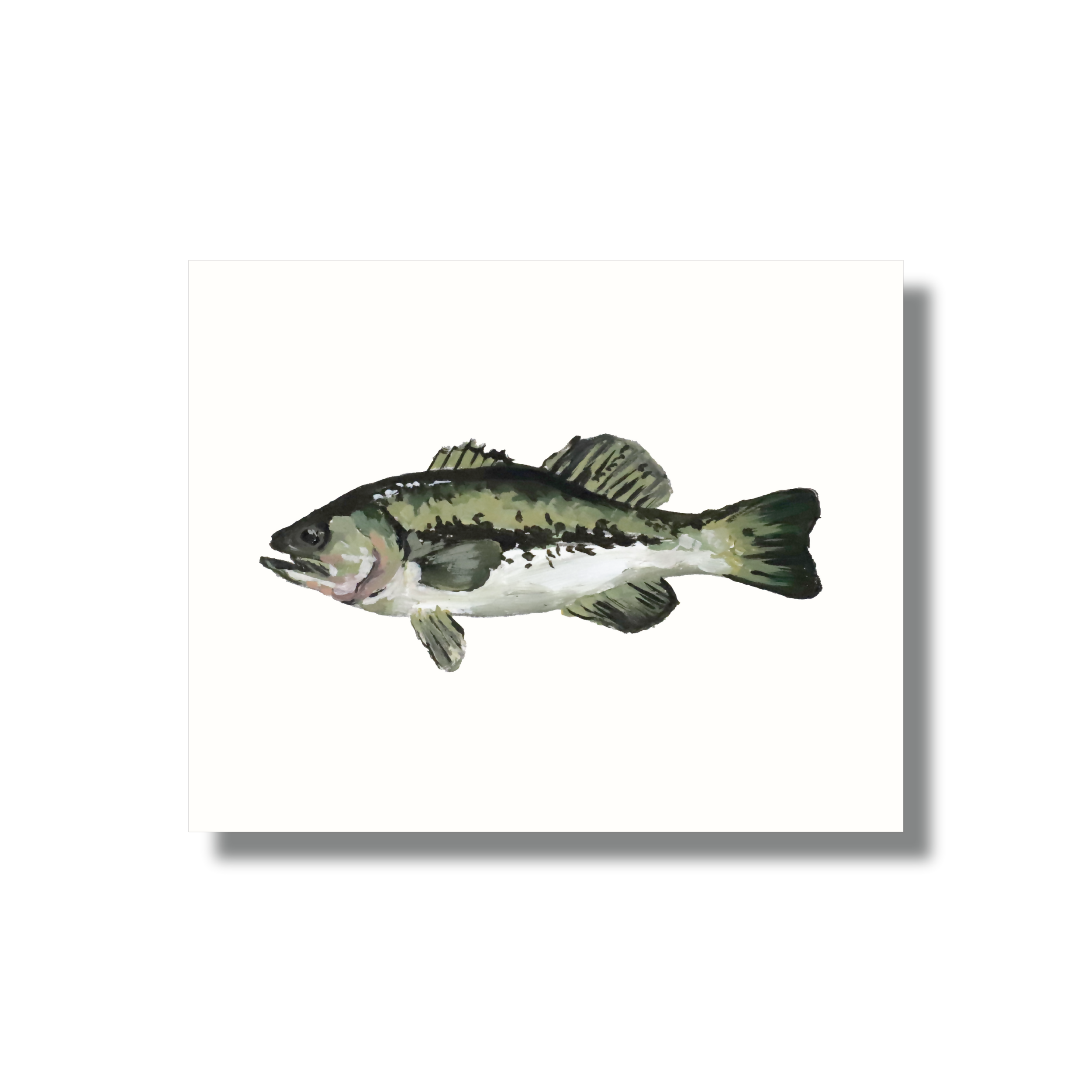 Largemouth Bass Study Print