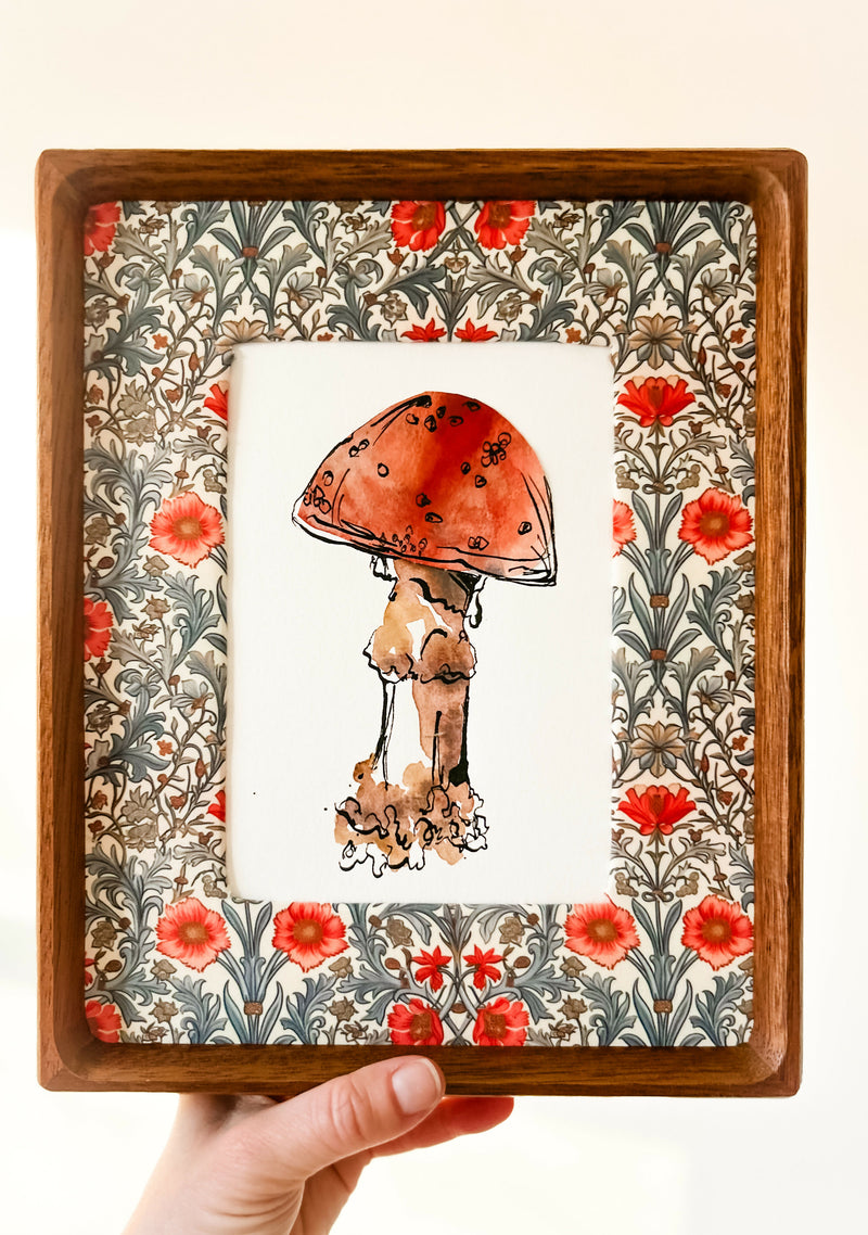 Mushroom Study in Rust Red No. 1
