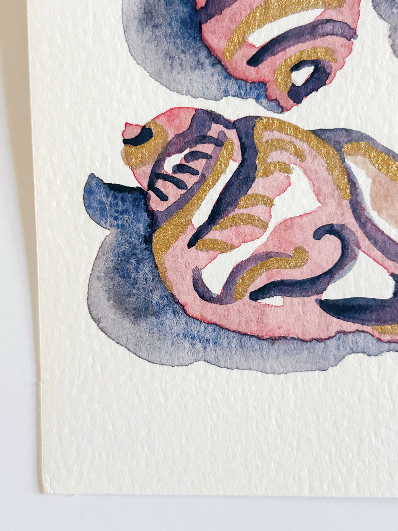 Heather Kiser Shell Study Vintage Pink Detail 2