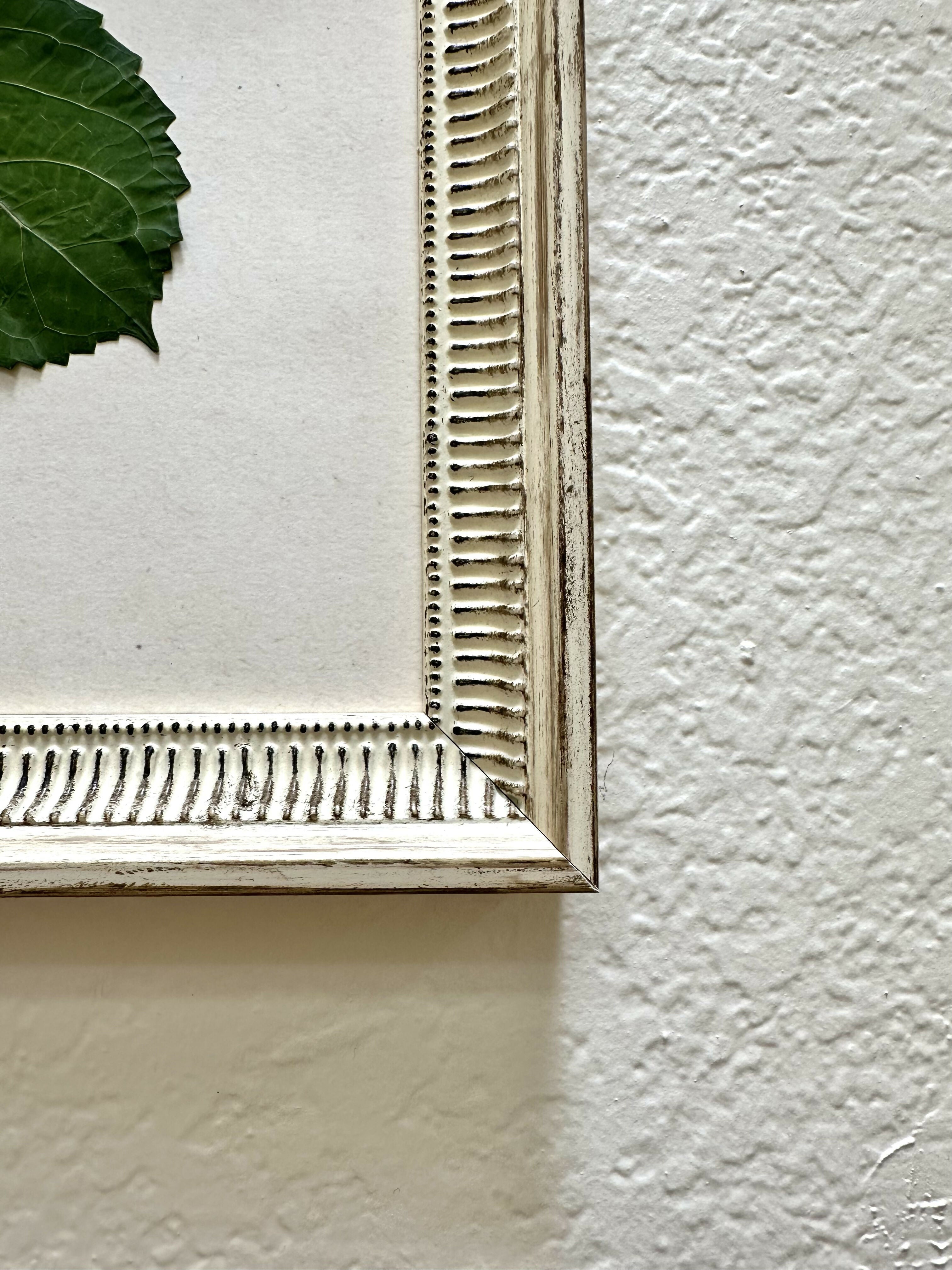 Pressed Hydrangea I/VII