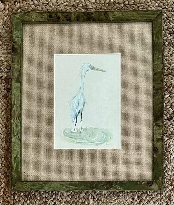 Great Egret in The Shallows